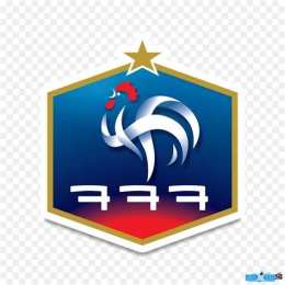 giao diện app logo bóng đá pháp