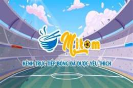 giao diện app mitom xem bong da