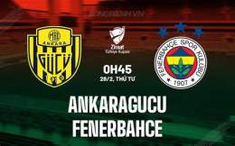 giao diện app nhận định bóng đá fenerbahce