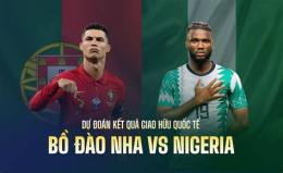 giao diện app nigeria bóng đá