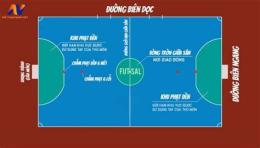 giao diện app sân bóng đá futsal