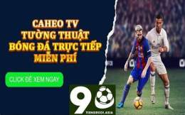 giao diện app sport tv xem bóng đá