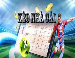 giao diện app ti le keo bong da nha cai