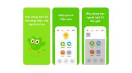 giao diện app tin bong da duc