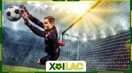 giao diện app xoilac ket qua bong da
