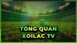 giao diện app xoilac tv 90 phút trực tiếp bóng đá hôm nay
