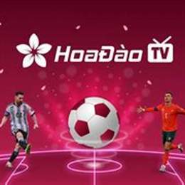 hoađào tv bóng đá