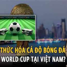hợp thức hoá cá độ bóng đá