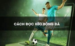 hướng dẫn sử dụng 7m tỷ lệ bóng đá mà cao