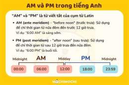 hướng dẫn sử dụng am là vị trí gì trong bóng đá