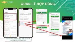 hướng dẫn sử dụng app đá bóng