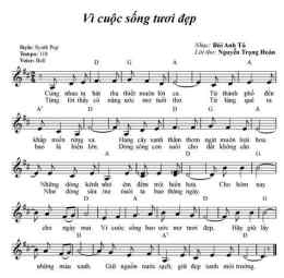 hướng dẫn sử dụng bài hát về bóng đá