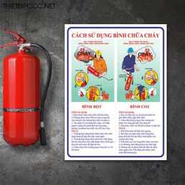 hướng dẫn sử dụng báo bống đá hôm nay
