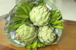 hướng dẫn sử dụng bông atiso tươi đà lạt