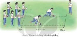 hướng dẫn sử dụng bóng đá 12/1