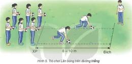 hướng dẫn sử dụng bóng đá 19/11