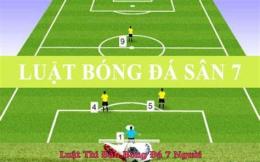 hướng dẫn sử dụng bóng đá 7