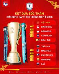 hướng dẫn sử dụng bóng đá asean hyundai cup