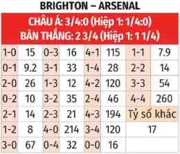 hướng dẫn sử dụng bóng đá brighton