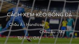 hướng dẫn sử dụng bóng đá c2 châu âu