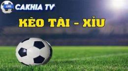 hướng dẫn sử dụng bong da cakhia tv