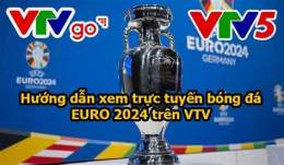 hướng dẫn sử dụng bóng đá euro hôm nay