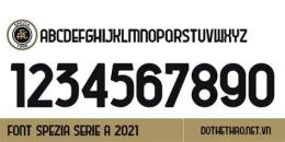 hướng dẫn sử dụng bóng đá italy