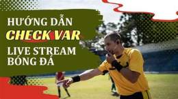 hướng dẫn sử dụng bong đá live