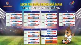 hướng dẫn sử dụng bong da nam sea game