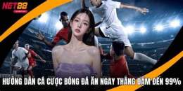hướng dẫn sử dụng bong da net88