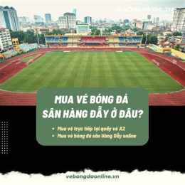 hướng dẫn sử dụng bóng đá sân hàng đẫy hôm nay