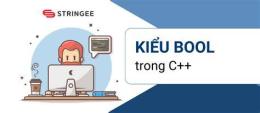hướng dẫn sử dụng bong da so du lieu 66