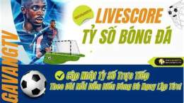 hướng dẫn sử dụng bong da so livescore