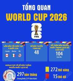 hướng dẫn sử dụng bóng đá thế giới world cup 2026