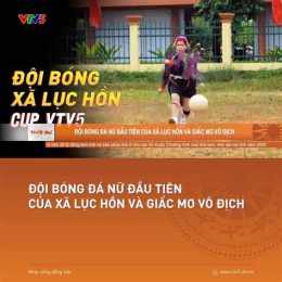 hướng dẫn sử dụng bóng đá trên vtv5