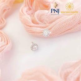 hướng dẫn sử dụng bông tai vàng đính đá