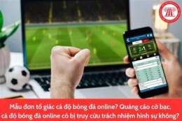 hướng dẫn sử dụng cá độ bóng đá online là gì