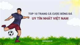 hướng dẫn sử dụng ca do bong da uy tin