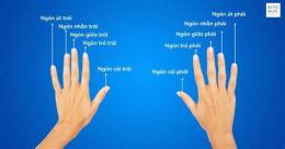hướng dẫn sử dụng các đầu ngón tay bị bong da