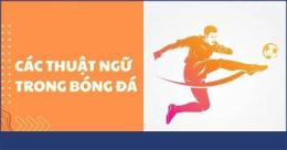 hướng dẫn sử dụng các thuật ngữ trong bóng đá