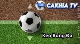 hướng dẫn sử dụng cakhia bong da hom nay