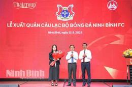 hướng dẫn sử dụng chủ tịch câu lạc bộ bóng đá công an hà nội