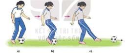 hướng dẫn sử dụng đá bóng bàn