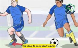 hướng dẫn sử dụng đá bóng sân 5