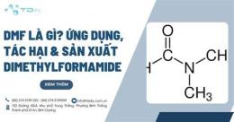 hướng dẫn sử dụng dmf là gì trong bóng đá