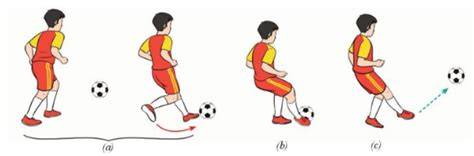 hướng dẫn sử dụng đỡ bước 1 bóng đá