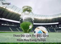 hướng dẫn sử dụng euro giải bóng đá