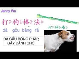 hướng dẫn sử dụng gậy đả cẩu bổng