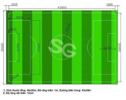 hướng dẫn sử dụng giá thuê sân bóng đá mini 5 người