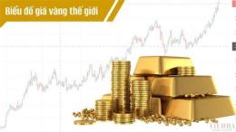 hướng dẫn sử dụng giá vàng bóng đá
